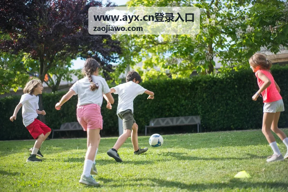 www.ayx.cn登录入口 地址栏逐段核对示意