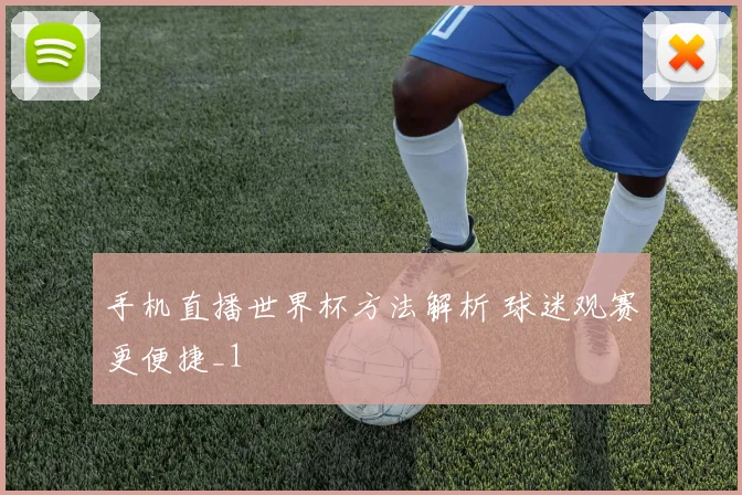 手机直播世界杯方法解析 球迷观赛更便捷_1